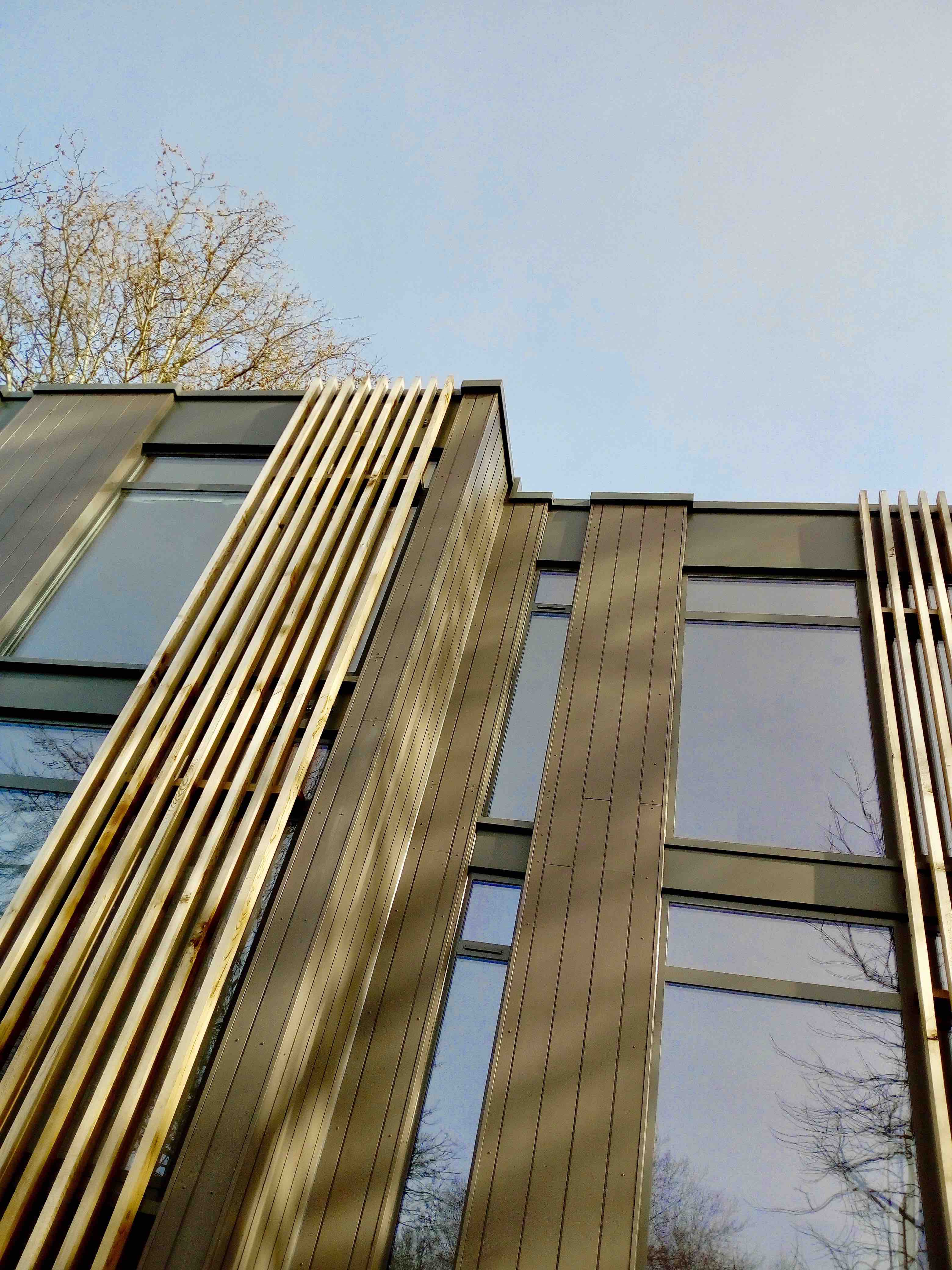 Housing in Brockley by Godsmark Architecture