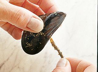 Come pulire le bottiglie di vetro dell'olio o del vino ...