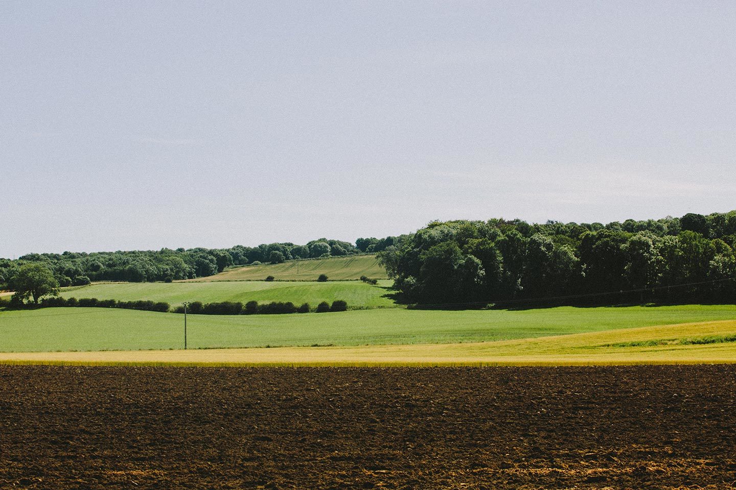 Our story header image