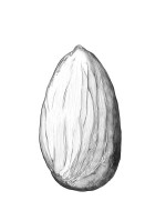 The Almond from Roses & Almonds The Almond from Roses & Almonds