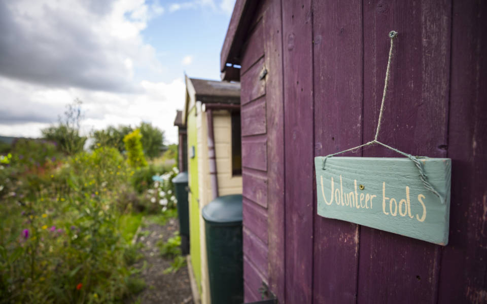 A row of multicoloured garden sheds with a door sign reading volunteer tools
