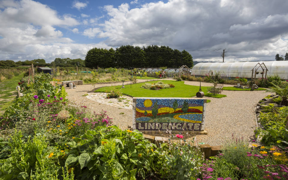 Garden with polytunnel, lawn and mosaic sign reading Lindengate