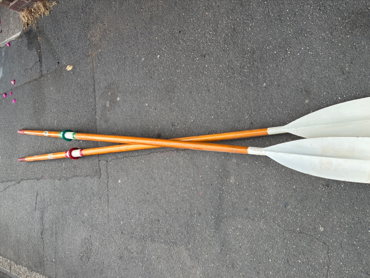 Pair of wooden sculling oars for sale - image 4