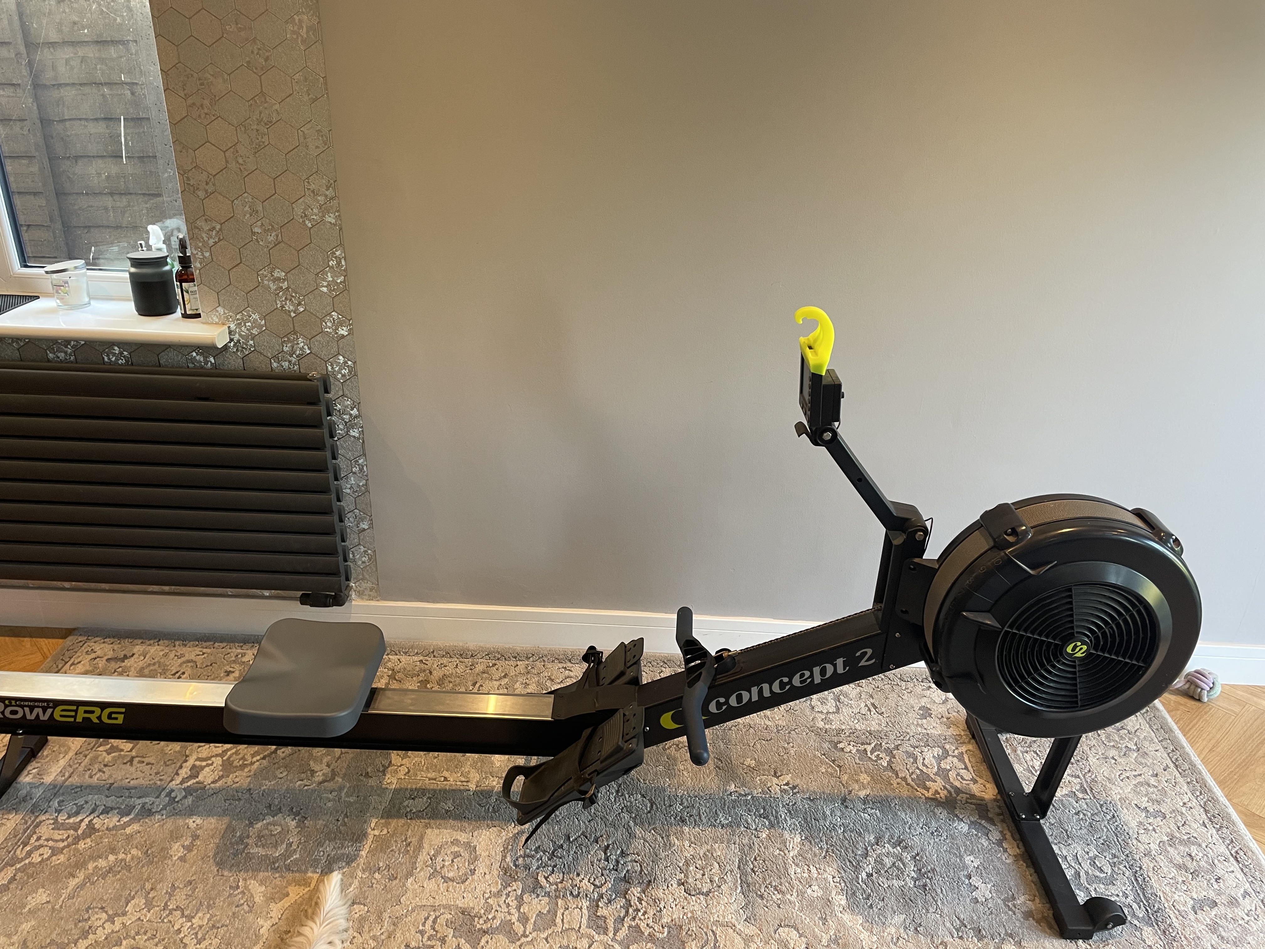 Concept2 RowErg Rower with PM5 - image 2