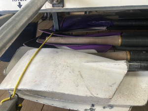 Sweep oars for sale