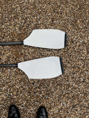 one and a half sculling blades for presentation purposes