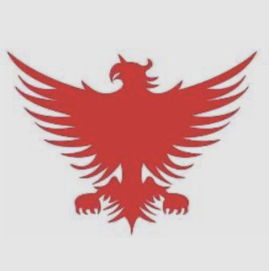 Bedford Modern School - Coaching Opportunities