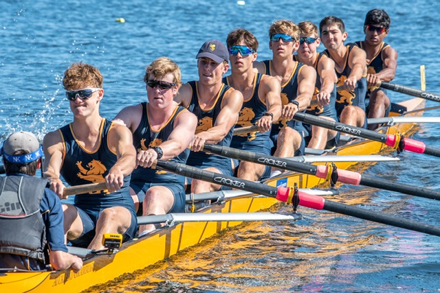 SLR Eights - image 6