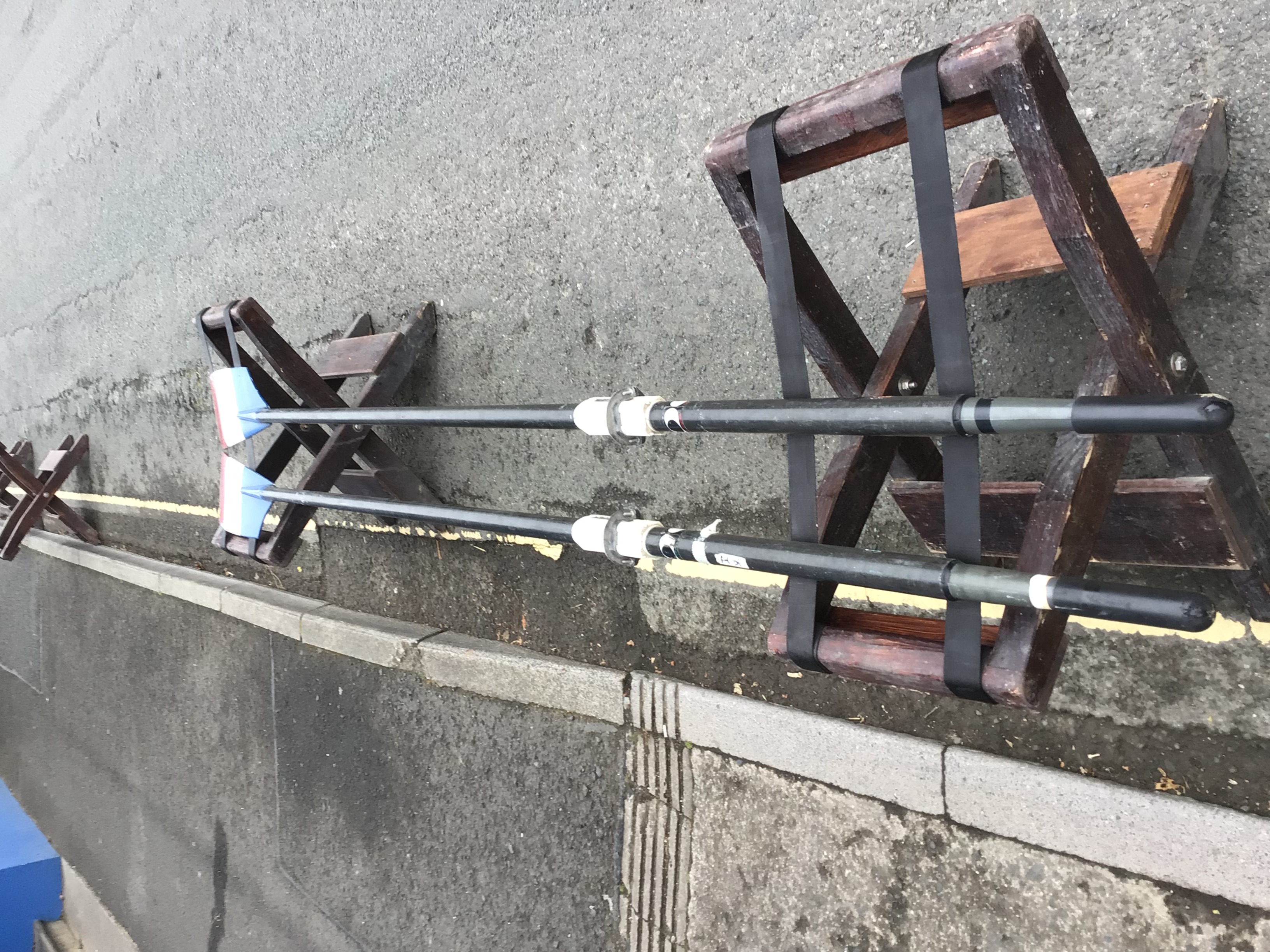 Sculls For Sale - image 2