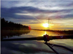 Looking for sculling blades!