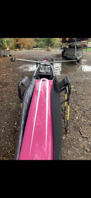 Pink Wintech International 1x