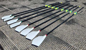 Set of 8 C2 "Comp" skinny sweep blades