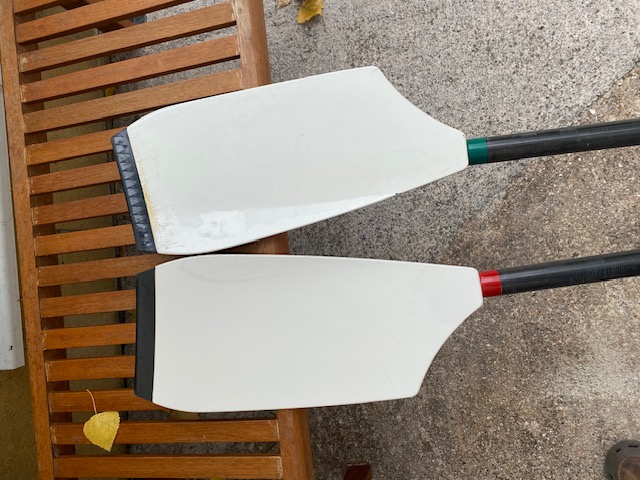 Swift Medium Club Sculls - image 3