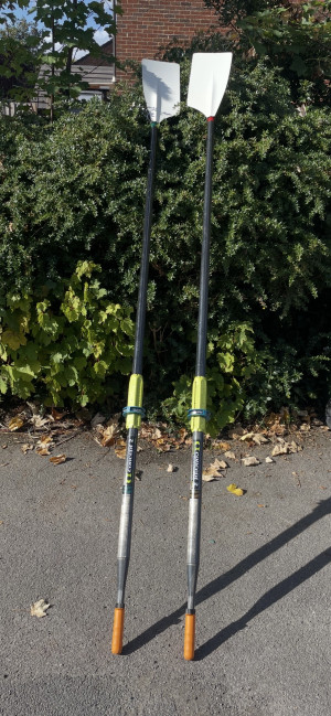 C2 sculling oars