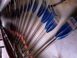 Croker Macon oars for sale