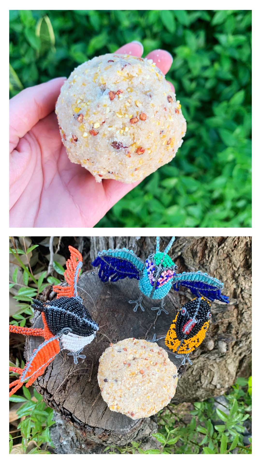 Royal Chundu Homeschool Making Suet Balls for Birds