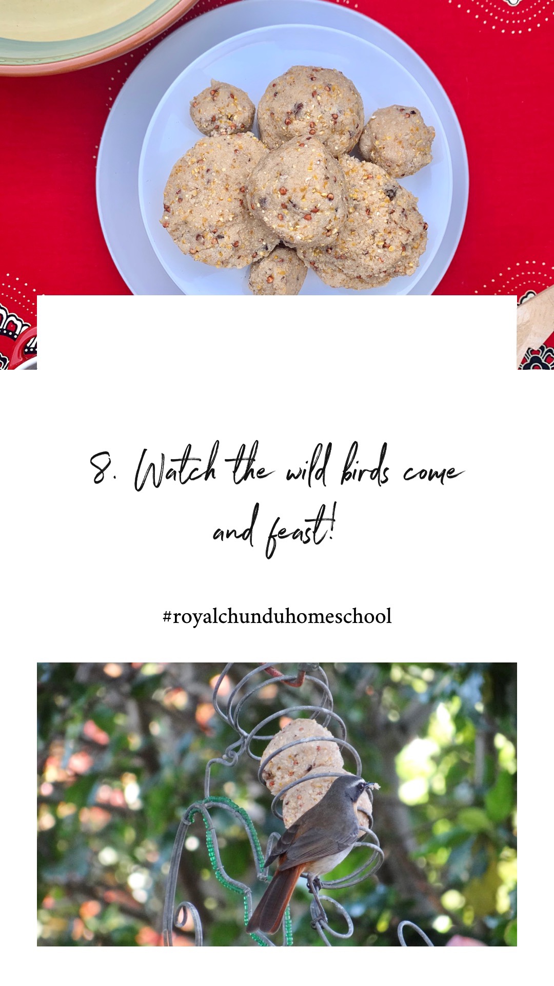 Royal Chundu Homeschool Making Suet Balls for Birds