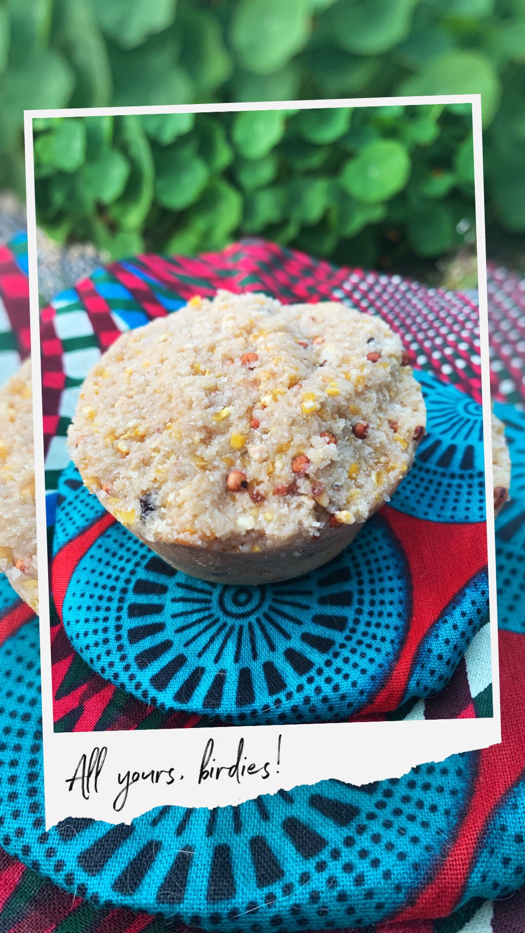 Royal Chundu Homeschool Making Suet Balls for Birds