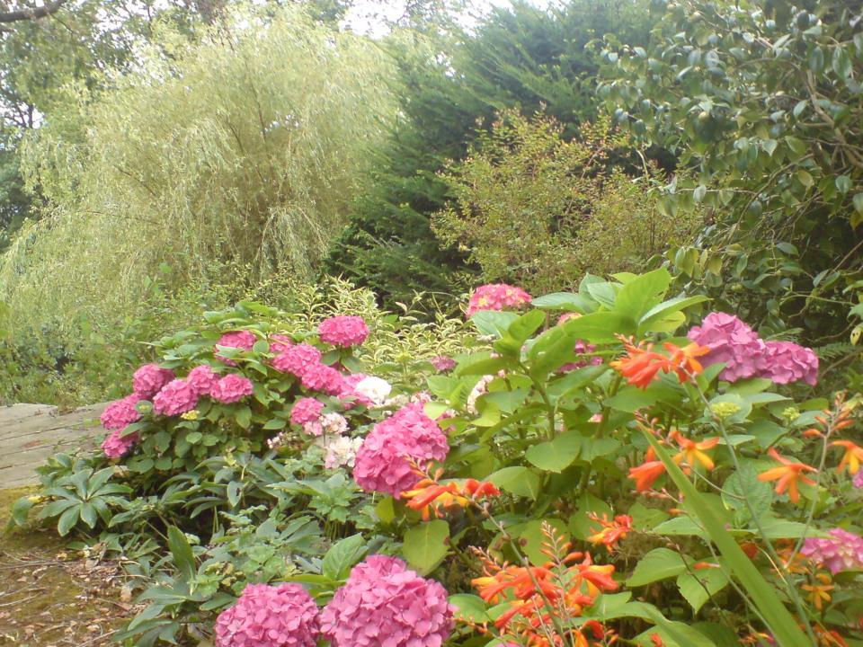 Gardenmate in Cullompton | Rated People