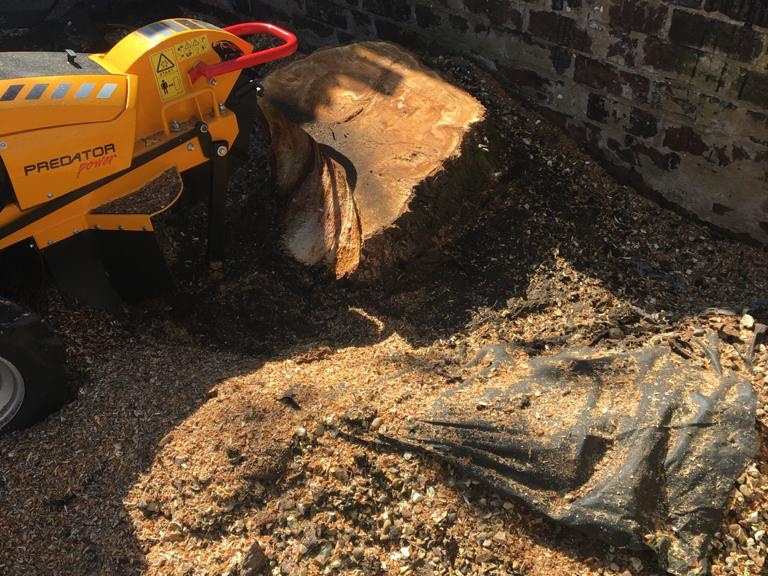 Midlands Tree and Garden Services work photo 1