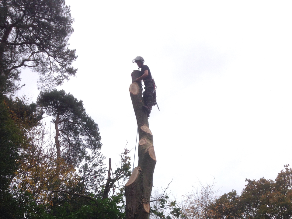 A J Hall Landscapes work photo 2