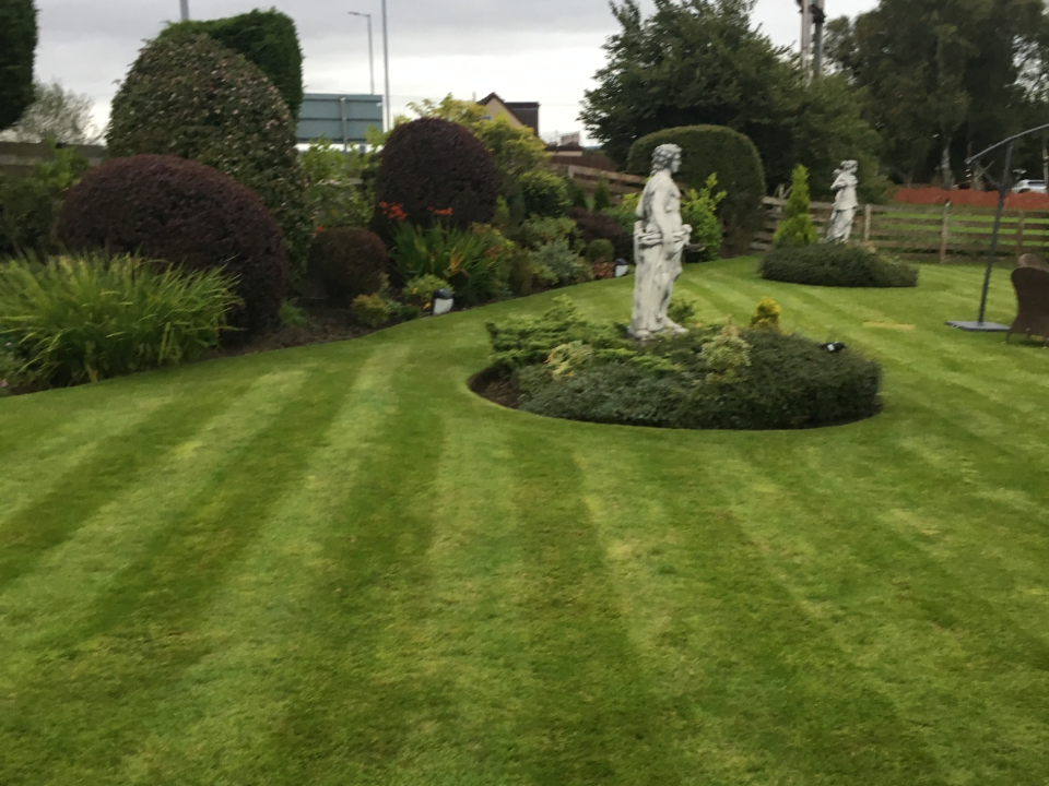 B.M. Gardens in St Rated People