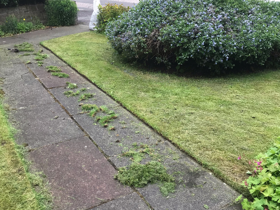 Tidy Gardens work photo 2