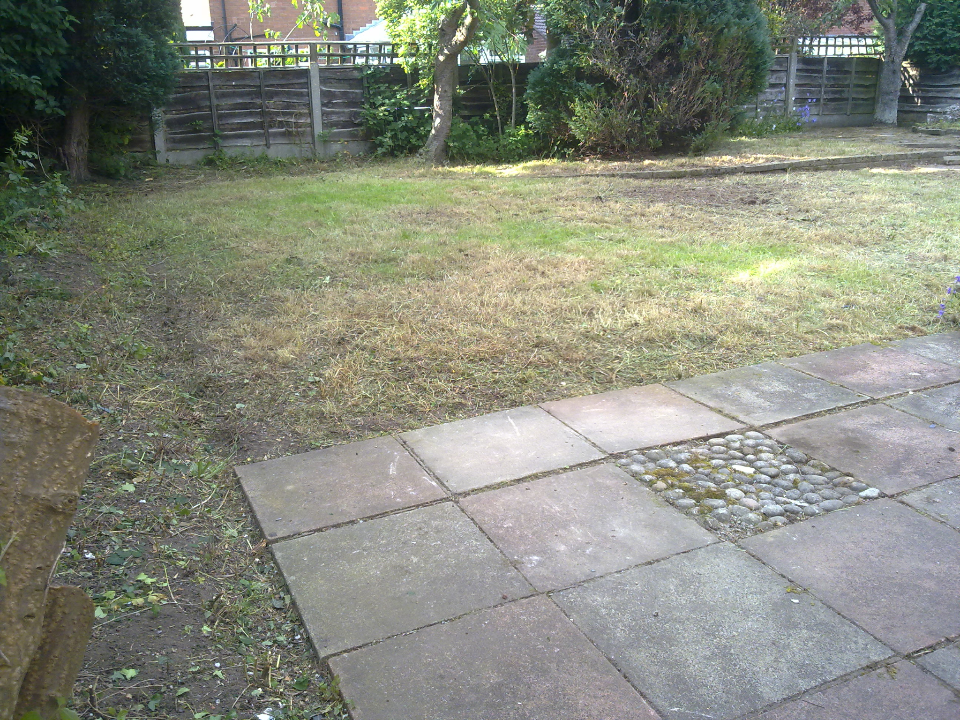 Professional Lawn Care work photo 4