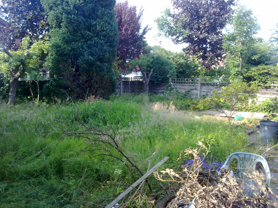 Professional Lawn Care work photo 3