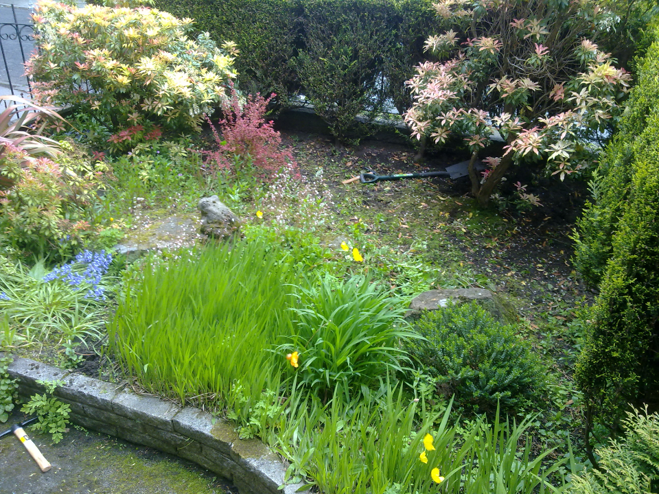 Professional Lawn Care work photo 2