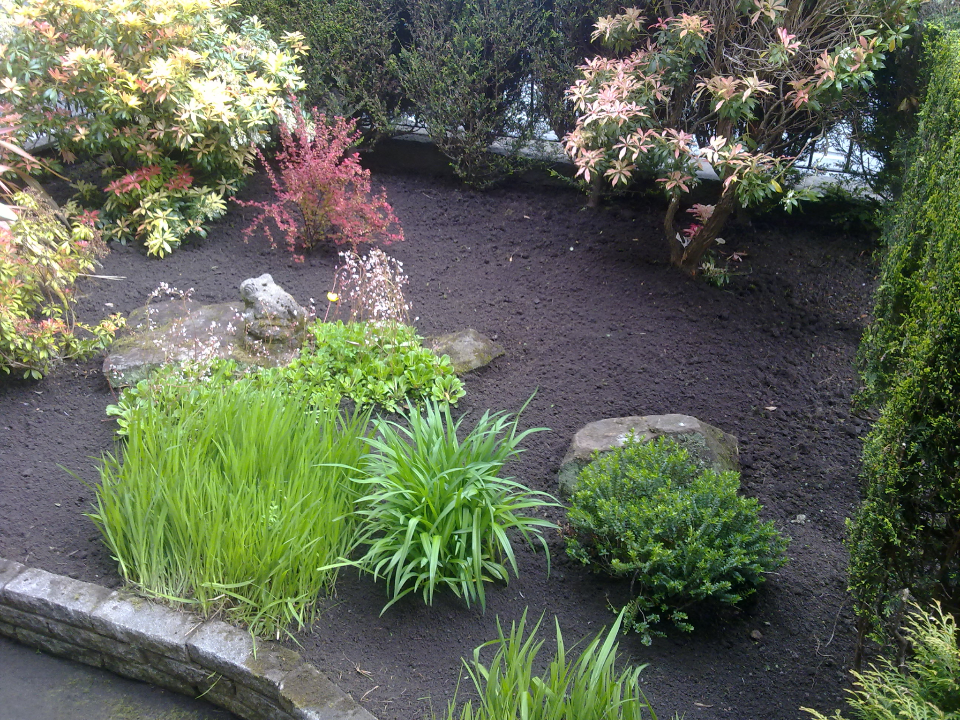 Professional Lawn Care work photo 1