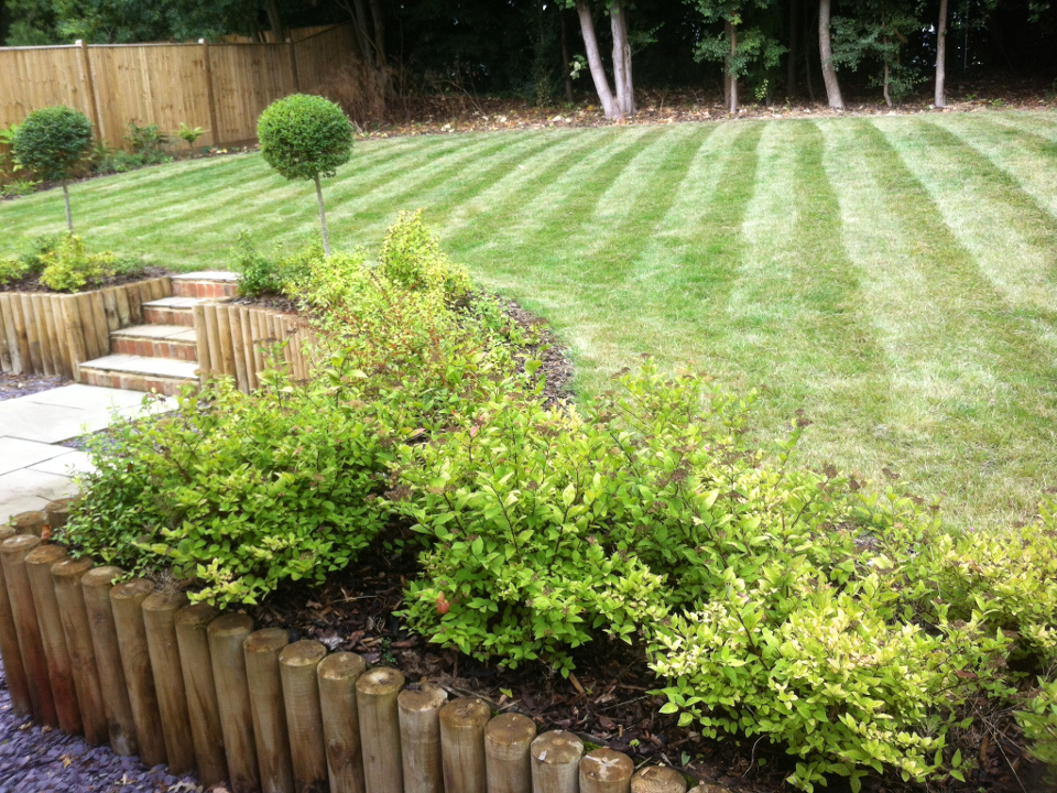 Morning Sun Garden Services in Guildford Rated People