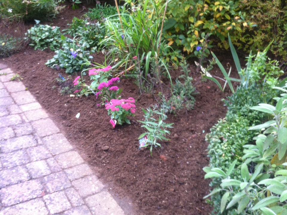 Morning Sun Garden Services in Guildford Rated People