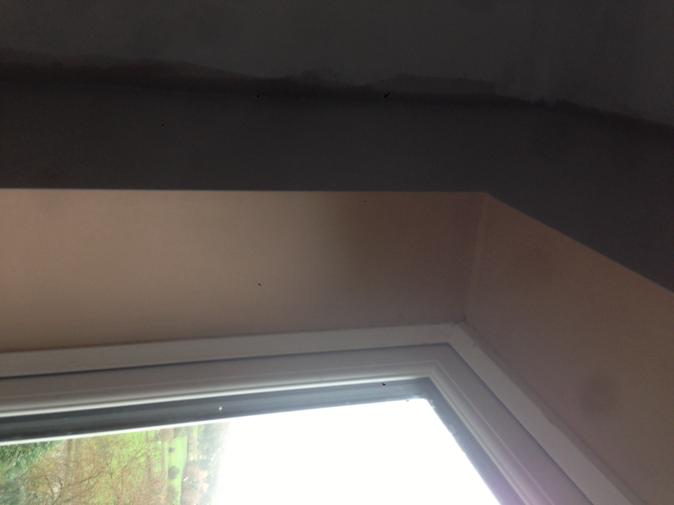 Prestige Plastering work photo 2