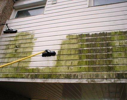Fascia  care work photo 1