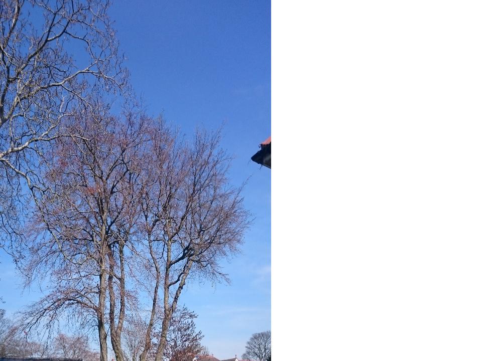 P Berry Property Maintenance & Building Contractors work photo 4