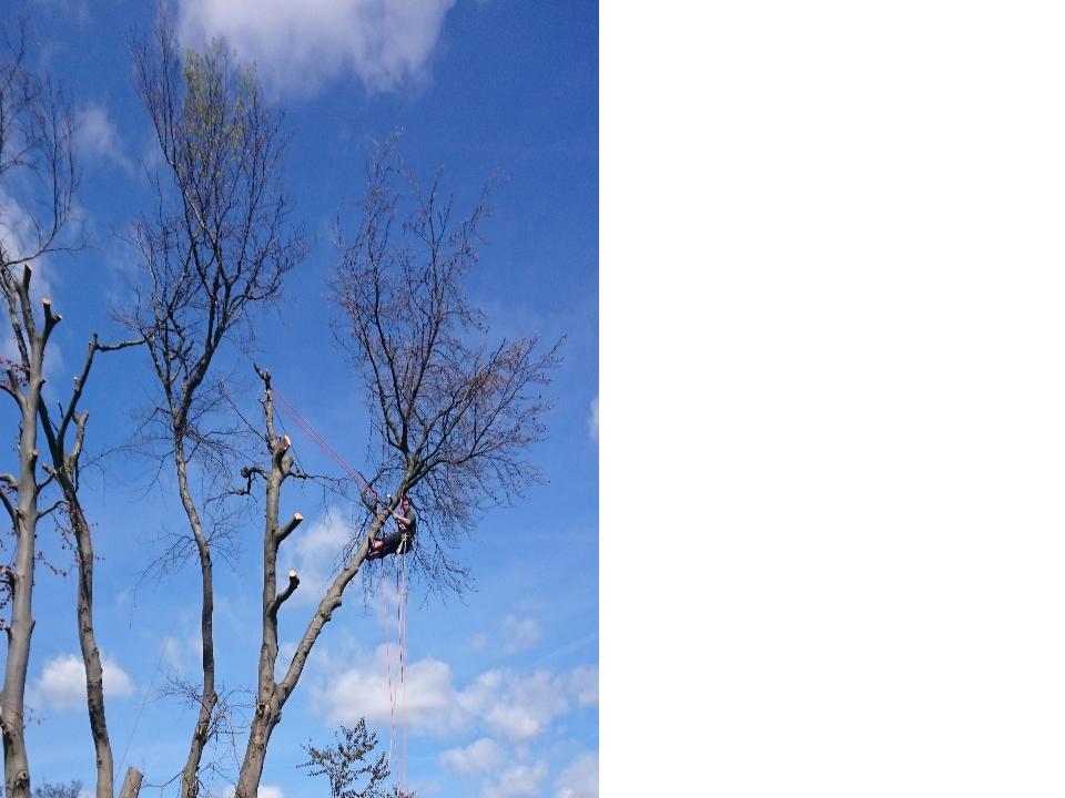 P Berry Property Maintenance & Building Contractors work photo 3
