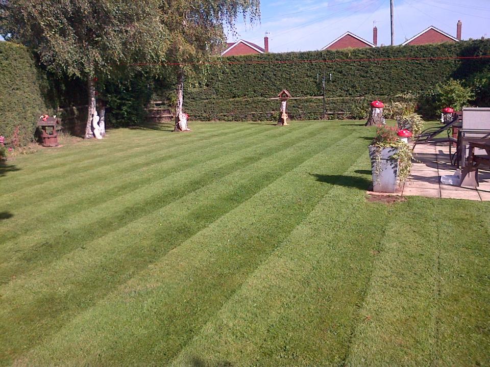 Morrison's Gardening in Farnborough Rated People