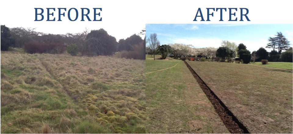 Plant Tech Grounds Maintenance LTD work photo 4
