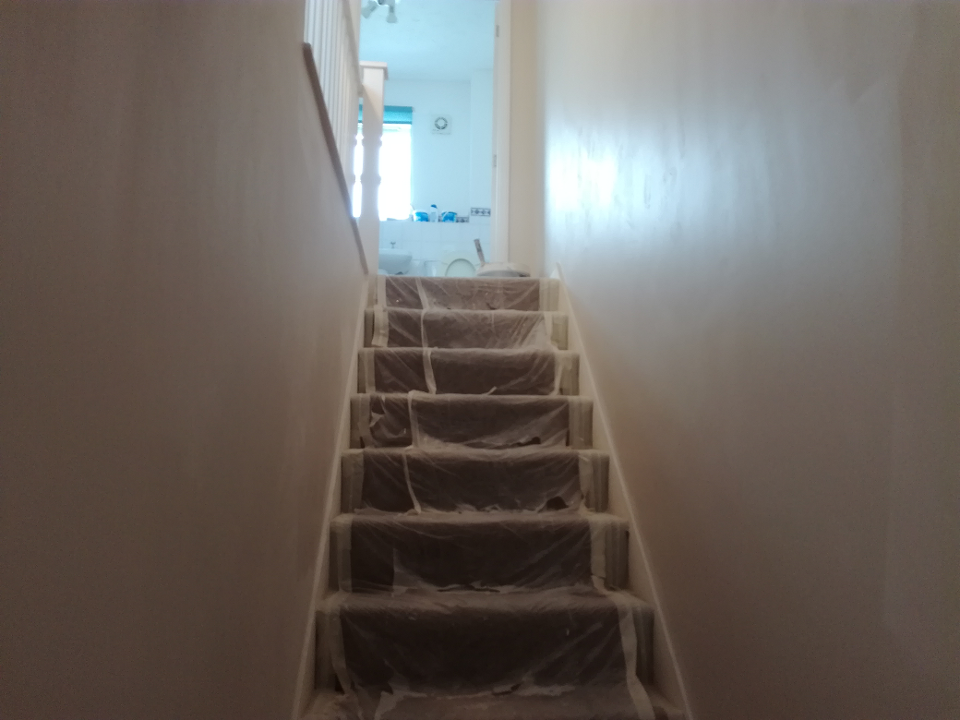 Yanev work photo 2