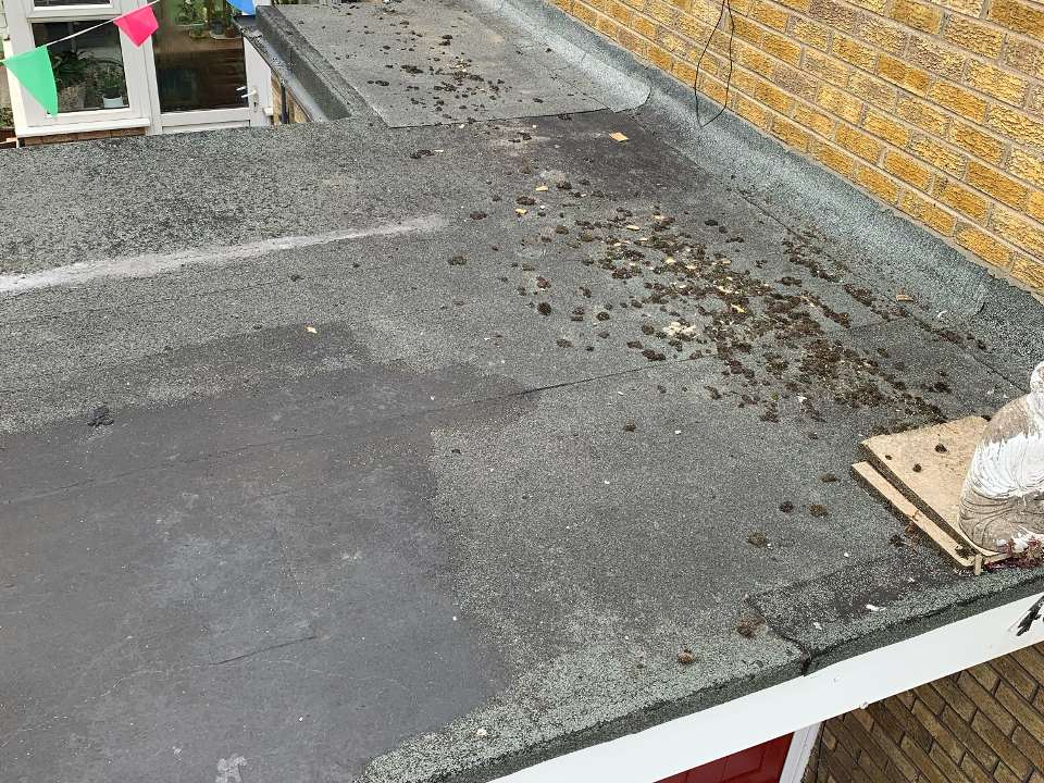 Pro Line Roofing work photo 1