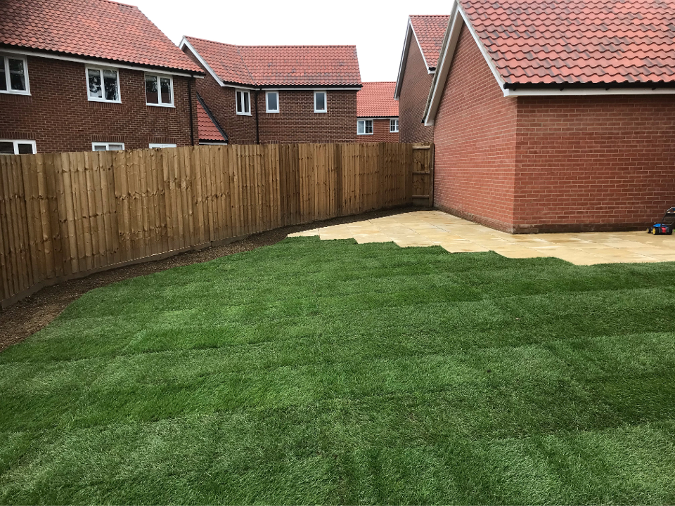 TREE & GARDEN SERVICES work photo 3