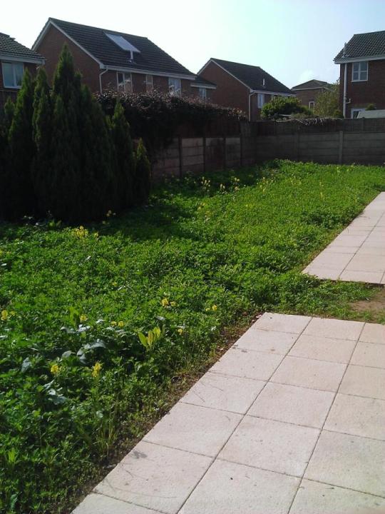 NC Landscaping services work photo 4