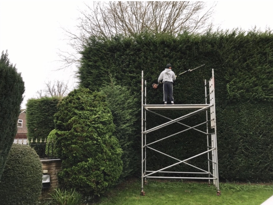 Forever Green Landscapers work photo 3
