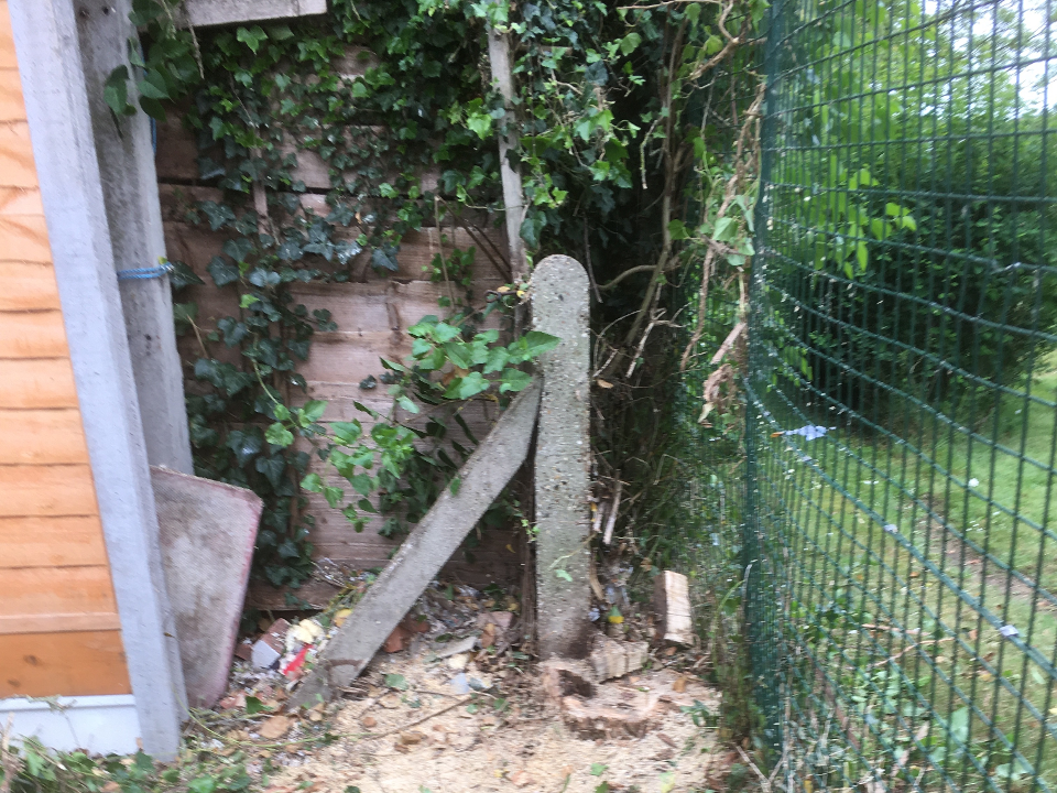 W&W landscape Services work photo 1