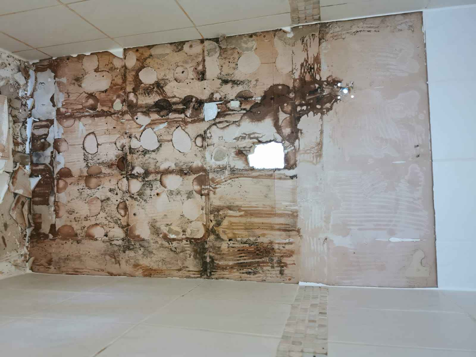 C.Davies Home Improvements work photo 1