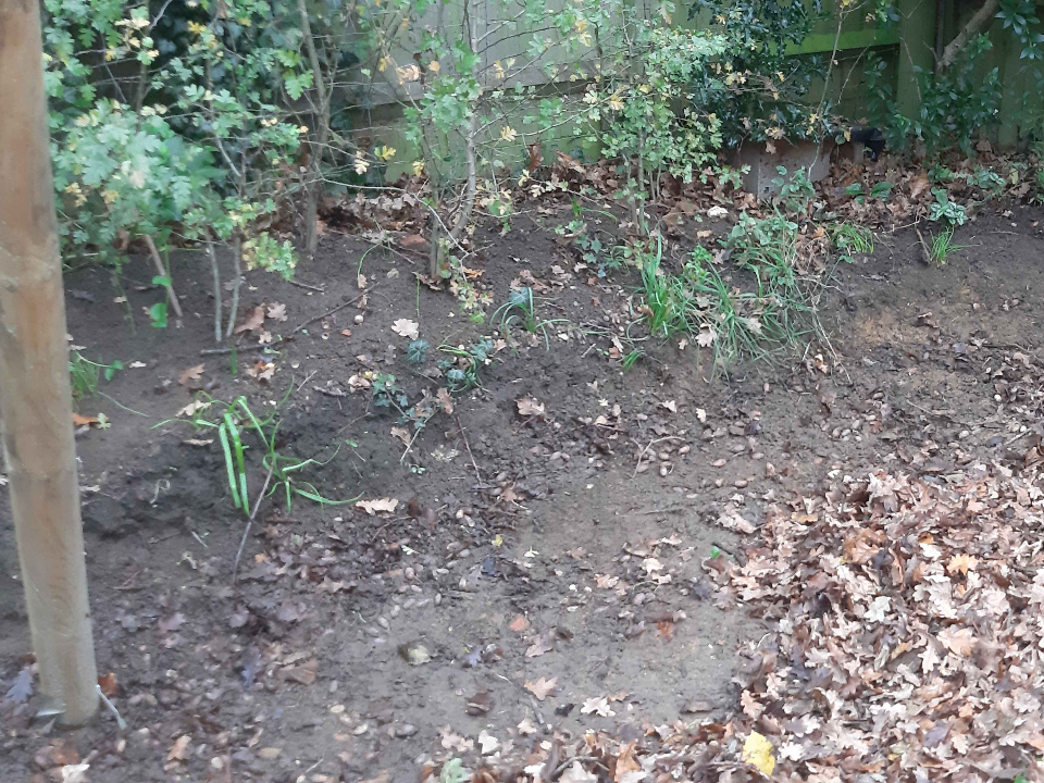 Complete Grounds and Gardens work photo 2