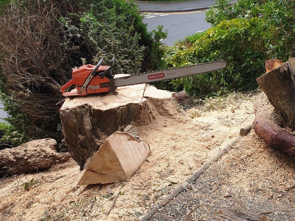 Rob Hughes Tree Surgeon in Llanidloes Rated People