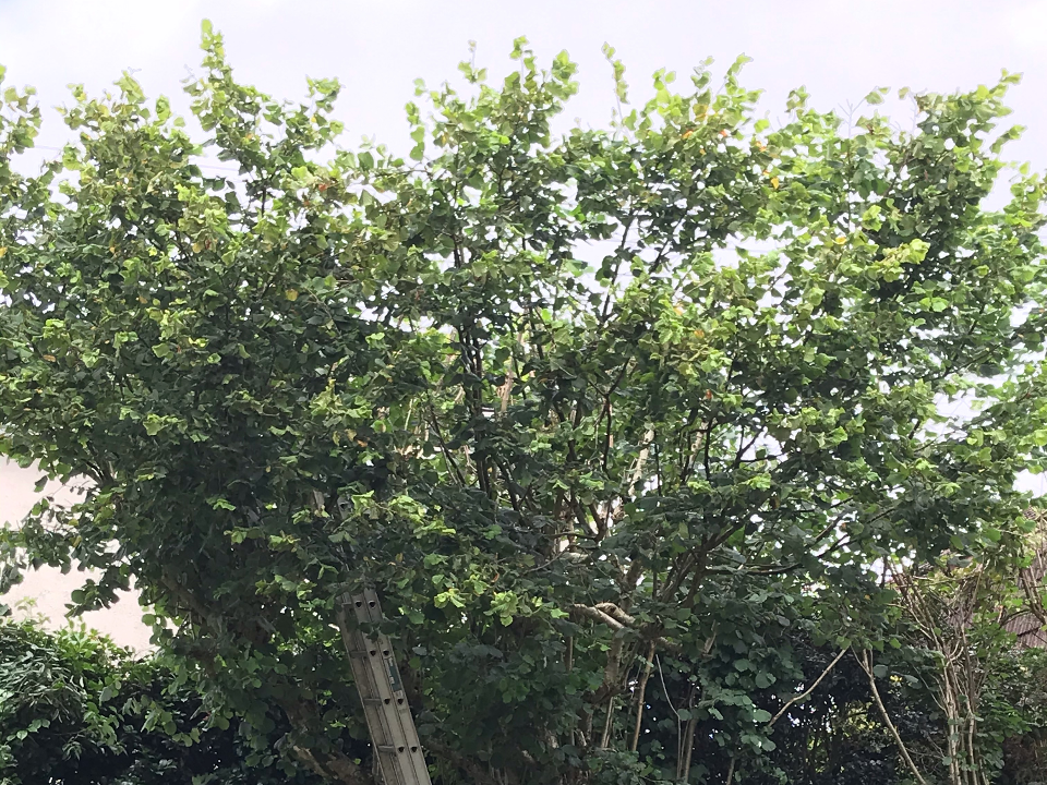 A Cooper work photo 1