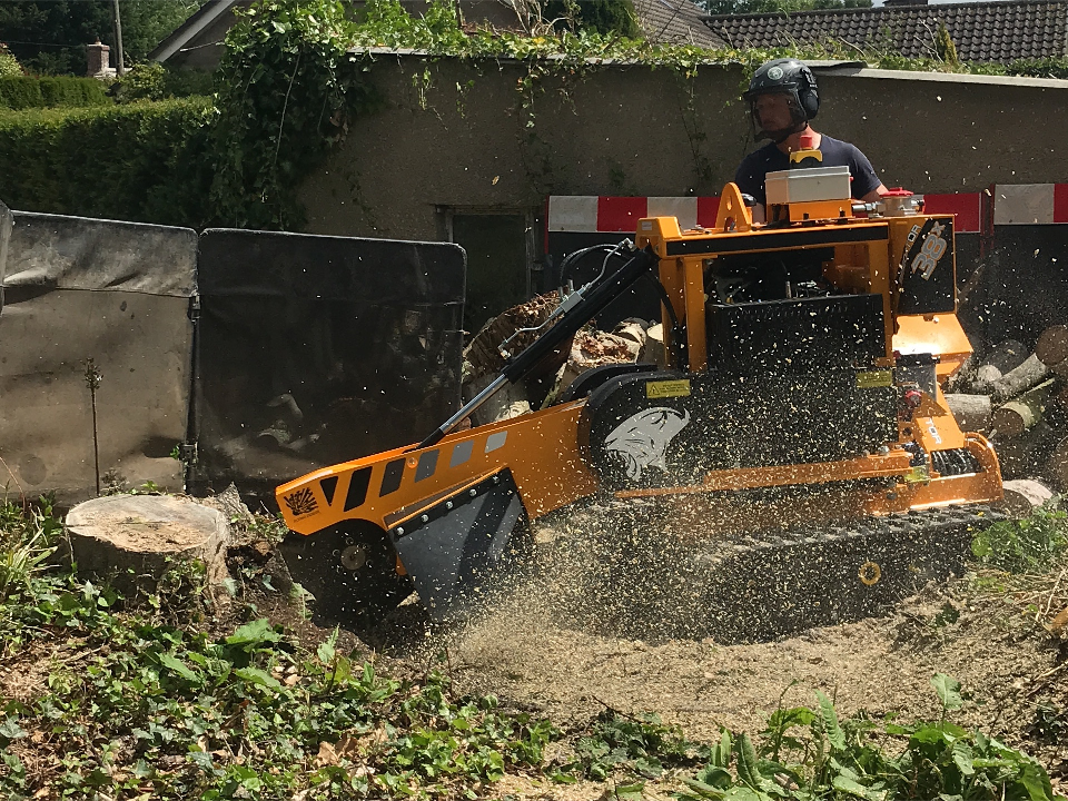 Howe Tree Surgery work photo 1